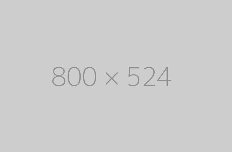 hongo 800×524 ph