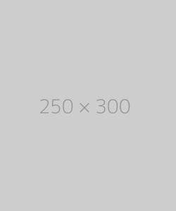 hongo 250×300 ph