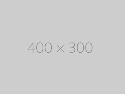 hongo 400×300 ph